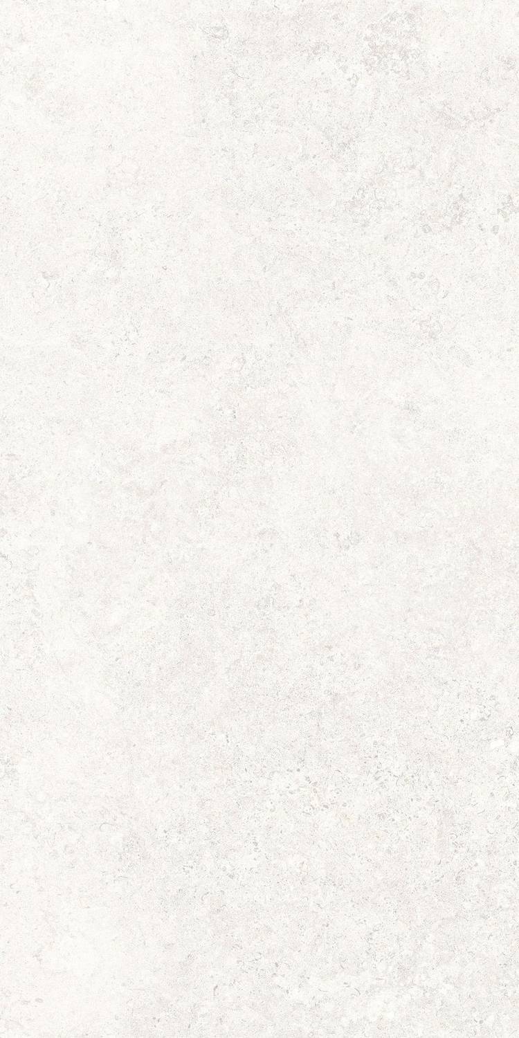 White AS RT 60x120